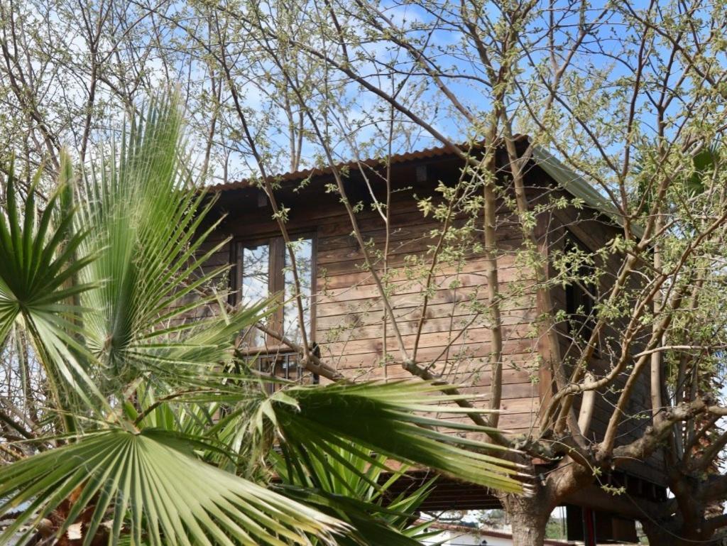 Naturetreehouse Casa Sobre Los Arboles Guest House Blanes Bagian luar foto