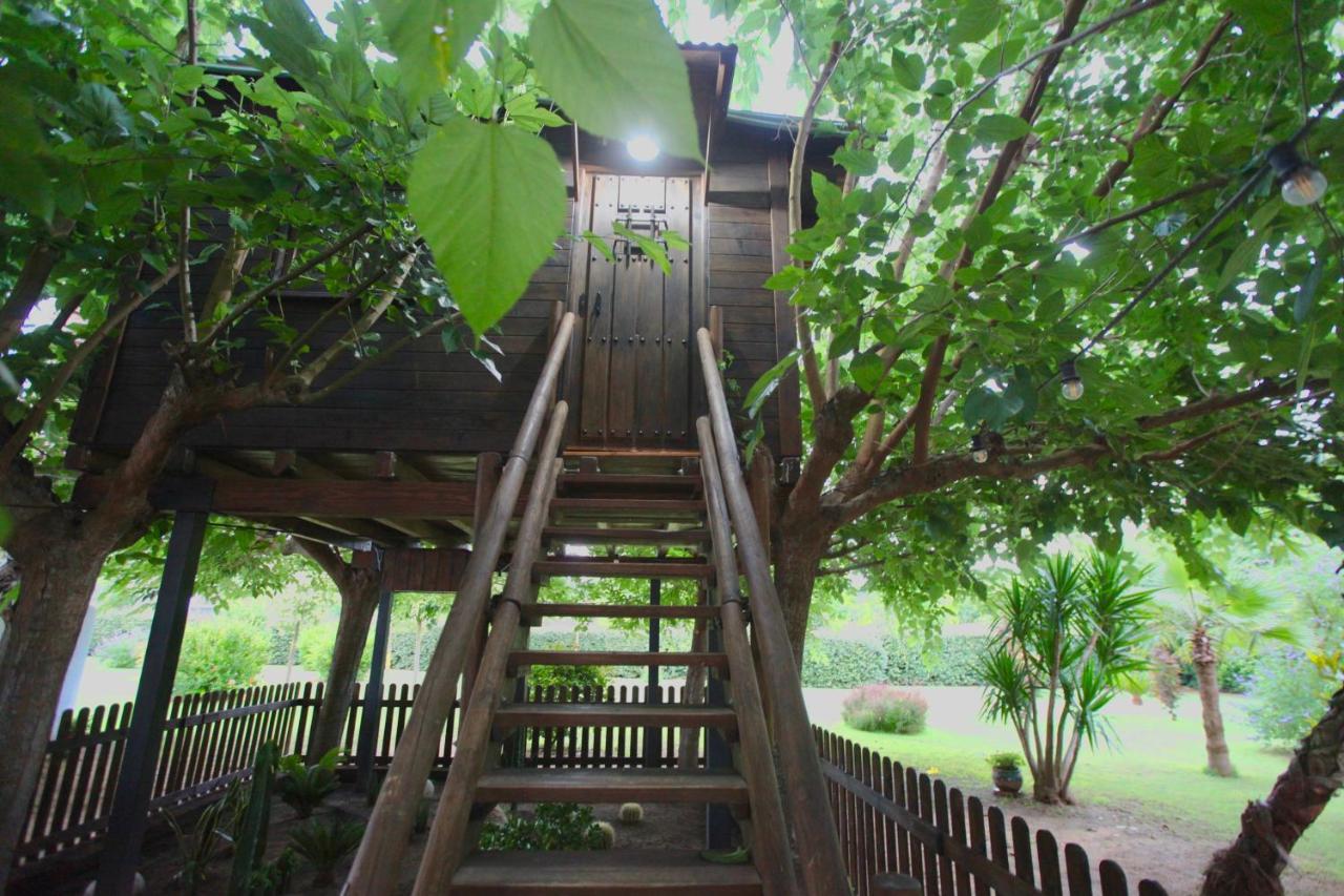 Naturetreehouse Casa Sobre Los Arboles Guest House Blanes Bagian luar foto