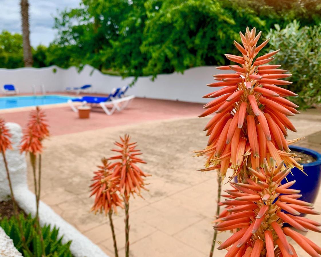 Naturetreehouse Casa Sobre Los Arboles Guest House Blanes Bagian luar foto